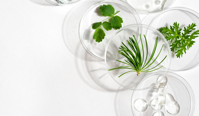 Capixyl: Your Hair's Fountain of Youth - Reviving your Crown